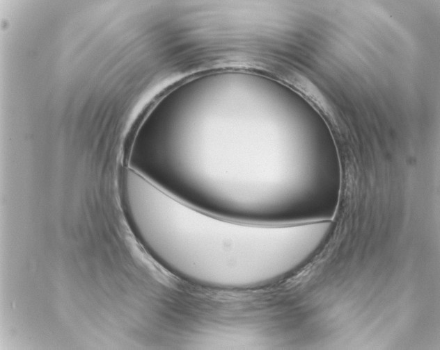 X0000088411132200705220805