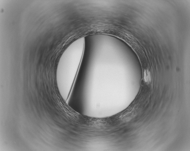 X0000088411155200705220805