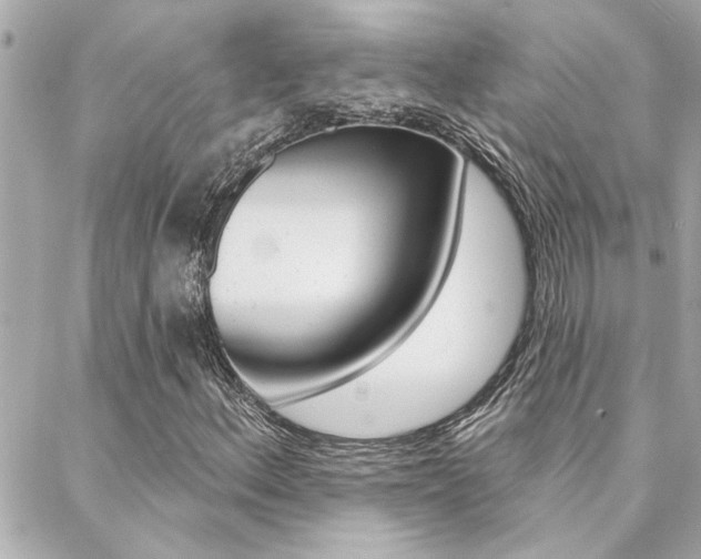 X0000088411156200705220805
