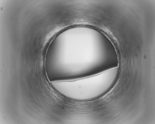 X0000088411167200705220804