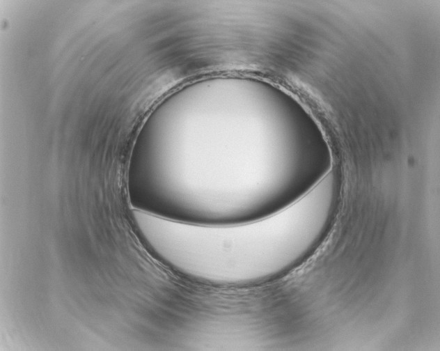 X0000088411169200705220804