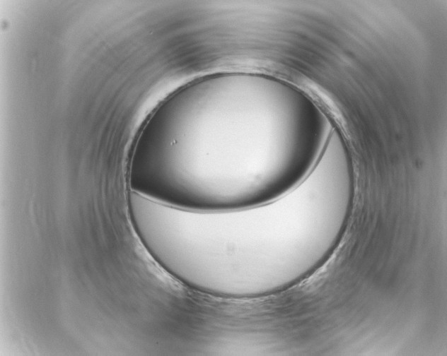 X0000088411192200705220804