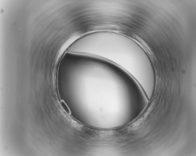 X0000088411196200705220804