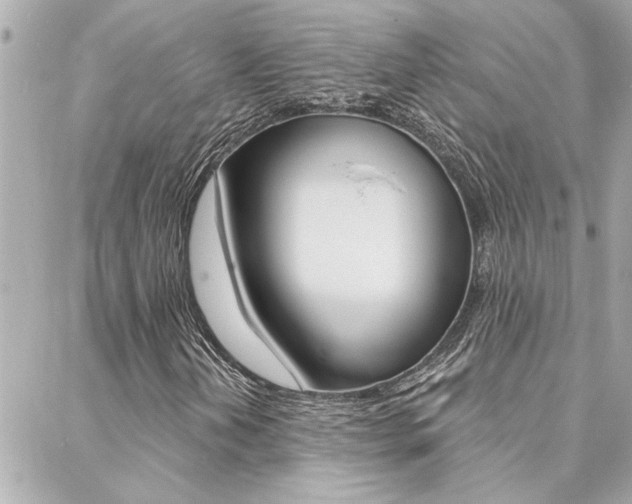 X0000088411202200705220803