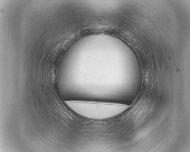 X0000088411204200705220803