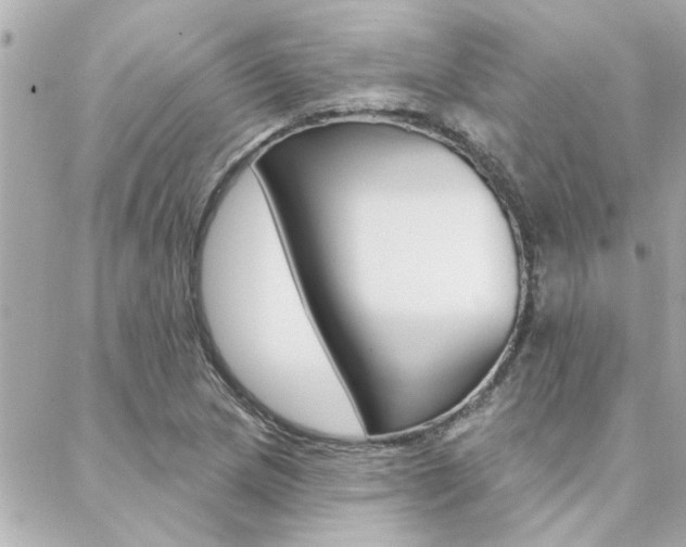 X0000088411217200705220803
