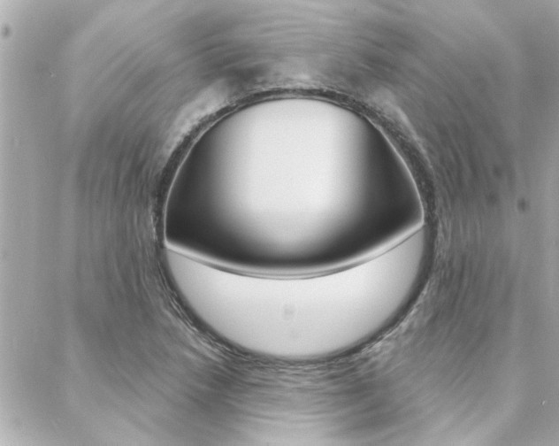 X0000088411218200705220803