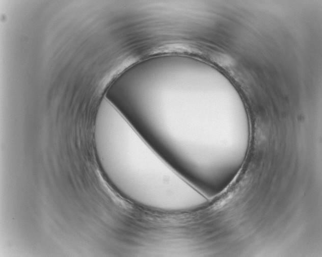 X0000088411233200705220804