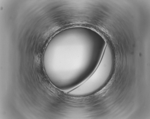 X0000088411257200705220803