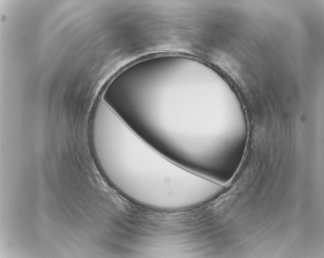 X0000088411268200705220803