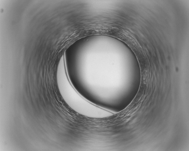 X0000088411298200705220801
