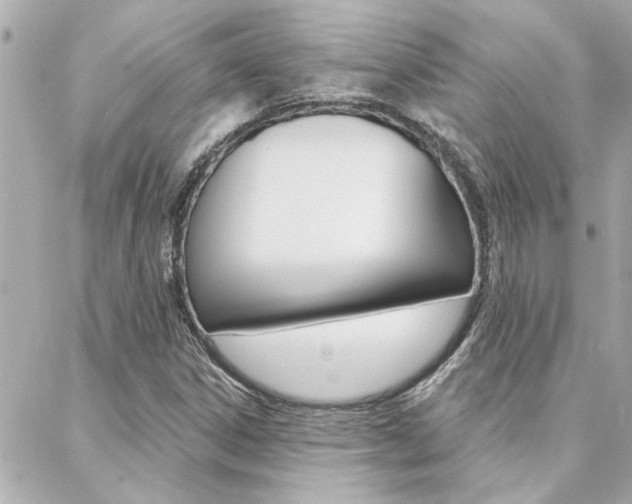 X0000088411306200705220802