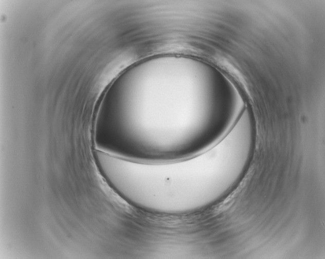 X0000088411330200705220802