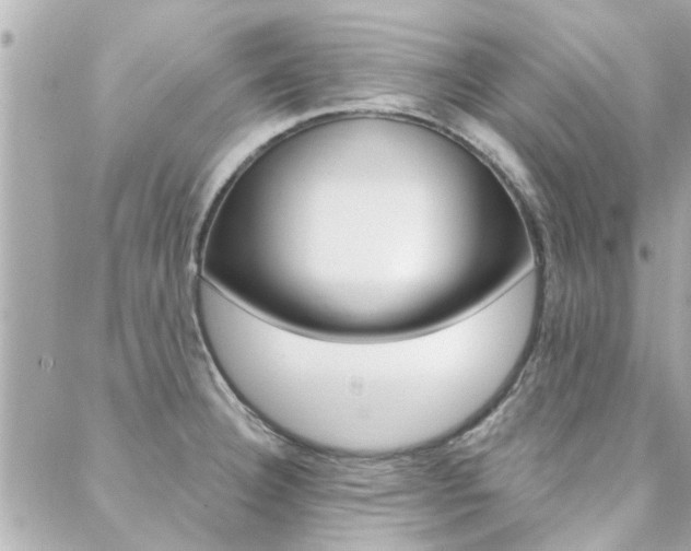 X0000088411332200705220802
