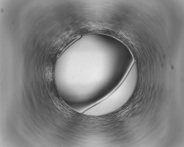 X0000088411348200705220801