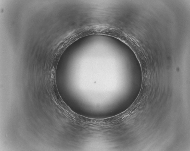 X0000088411349200705220801