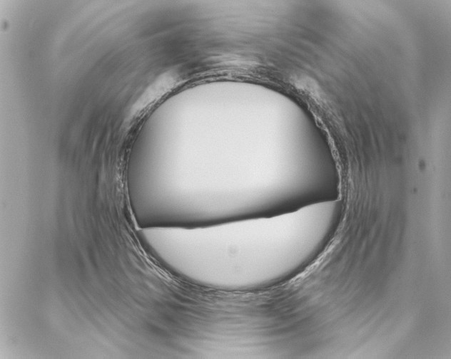 X0000088411354200705220801