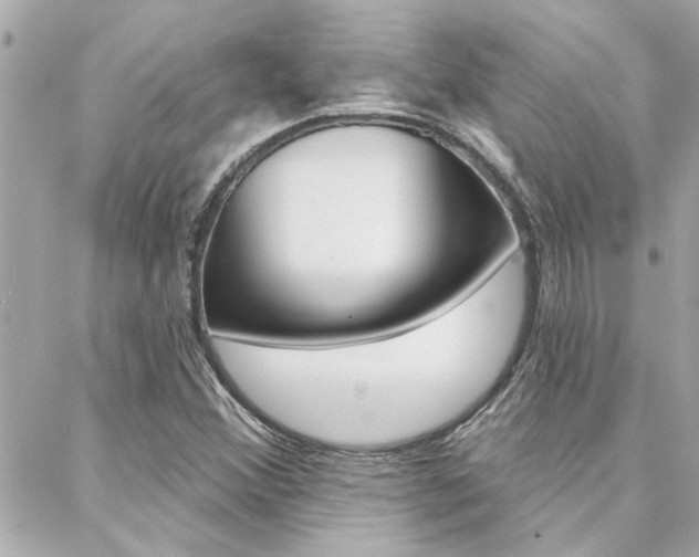 X0000088411356200705220801