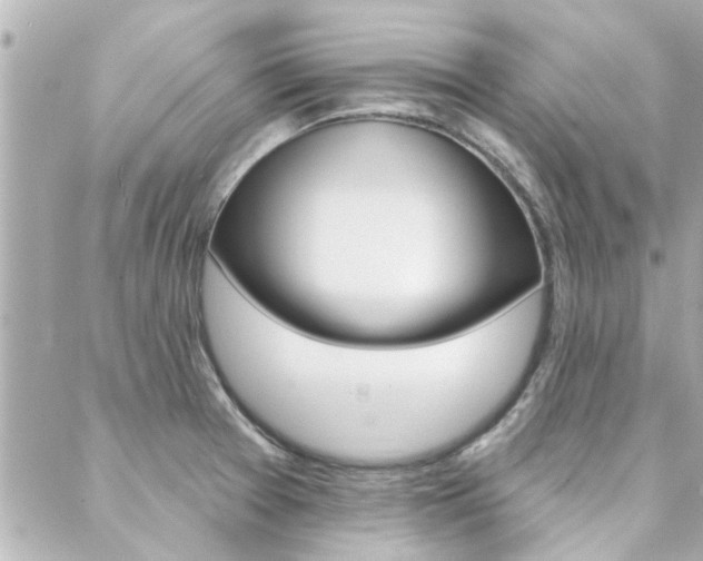 X0000088411377200705220801