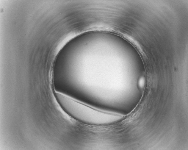 X0000088411383200705220801