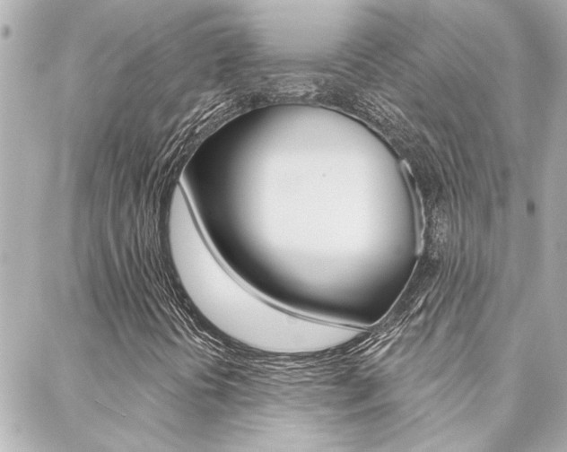 X0000088411394200705220800