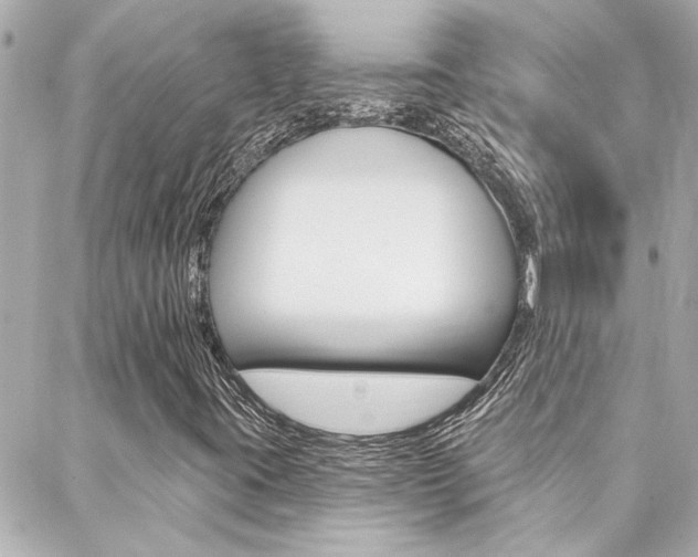 X0000088411395200705220800