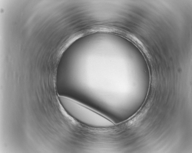 X0000088411433200705220800