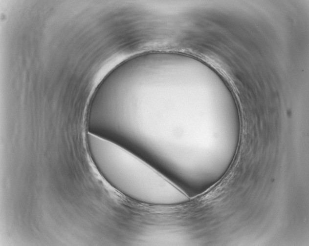X0000088411440200705220801