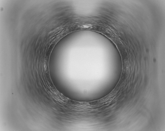 X0000088411442200705220800