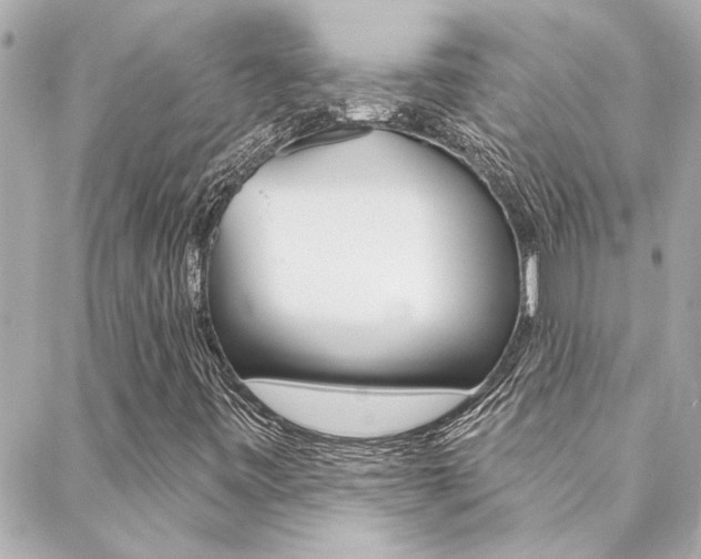 X0000088411443200705220800