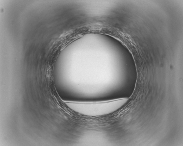 X0000088411445200705220800