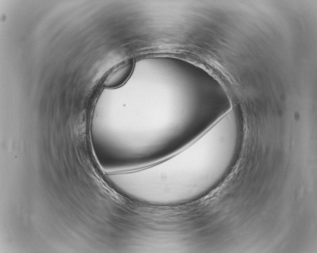 X0000088411450200705220800