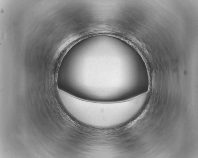 X0000088411453200705220800