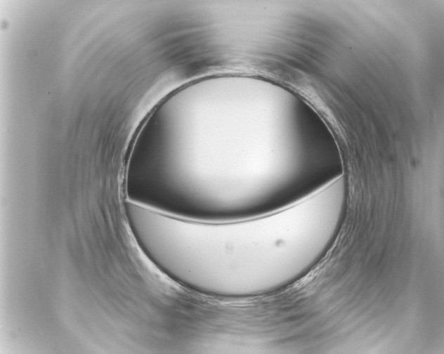 X0000088411484200705220759