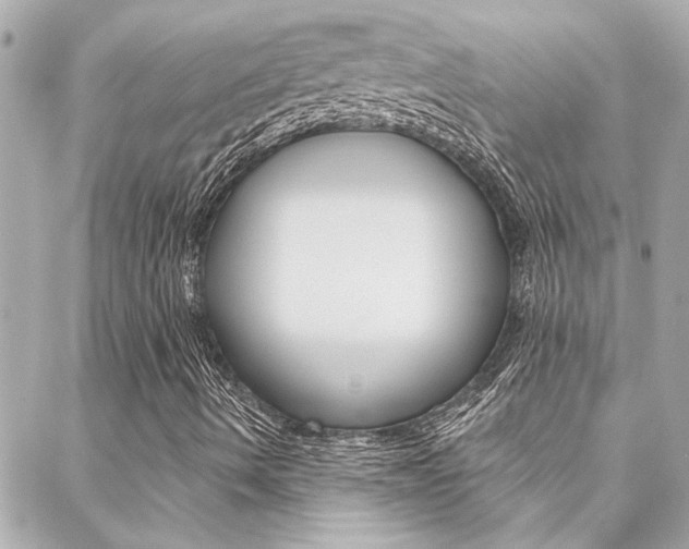 X0000088411490200705220758
