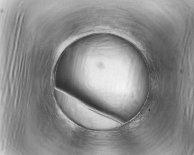 X0000088411527200705220759