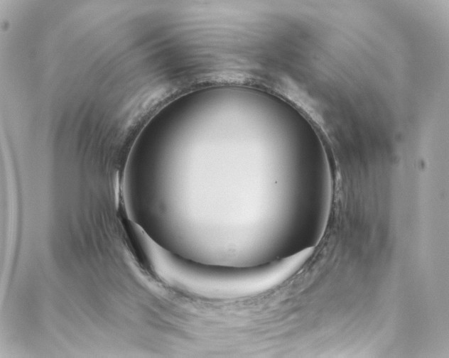 X0000088410013200705221159