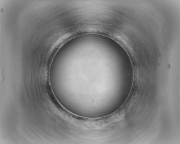 X0000088410016200705221159