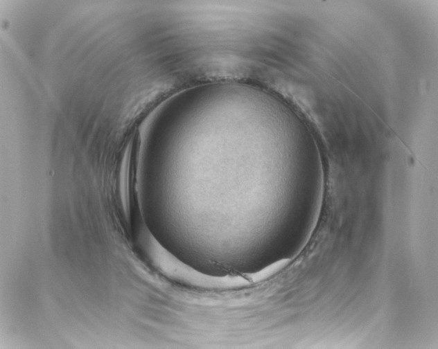 X0000088410017200705221159