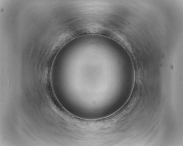 X0000088410018200705221159