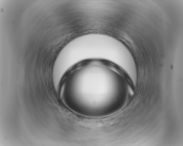 X0000088410029200705221159