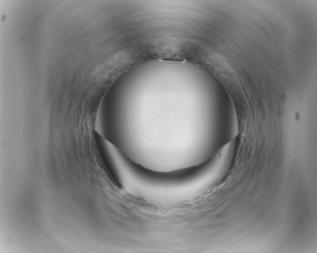 X0000088410037200705221159