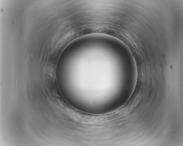 X0000088410044200705221159