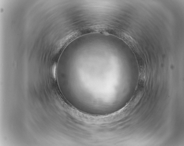 X0000088410047200705221159