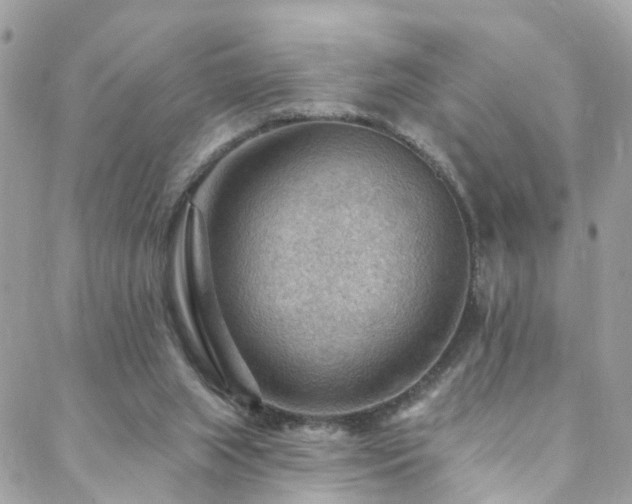 X0000088410063200705221158