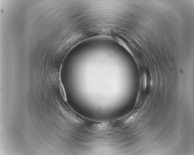 X0000088410092200705221159