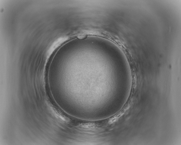 X0000088410104200705221158