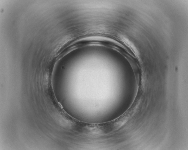 X0000088410113200705221158