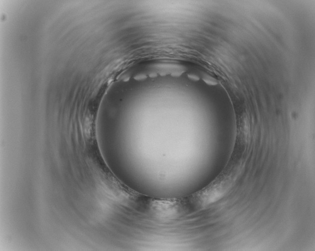X0000088410139200705221157