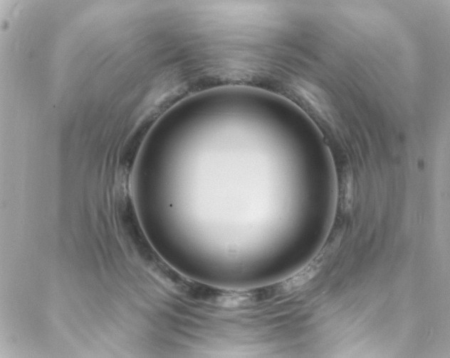 X0000088410172200705221157